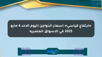 «ارتفاع قياسي» أسعار الدواجن اليوم الأحد 4 مايو 2025 في الأسواق المصرية